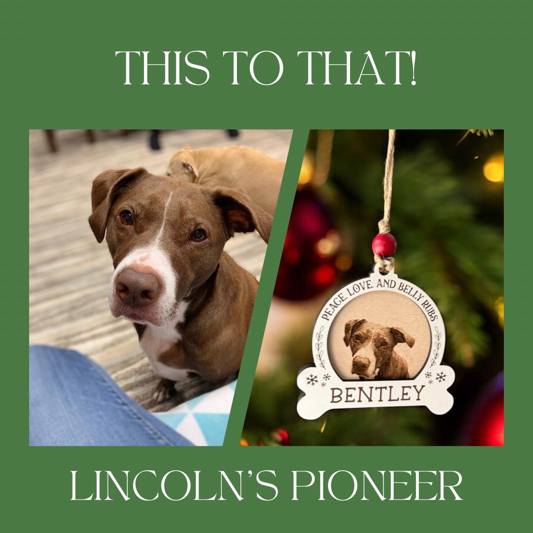 Custom Double-Layer Dog Ornament – Truly Personalized with Your Dog's Image!