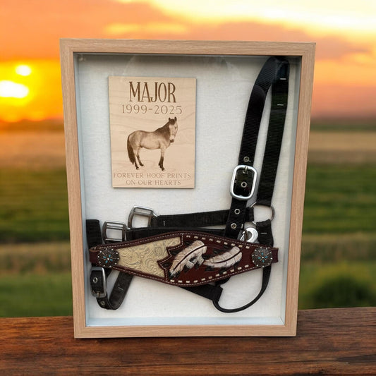 Custom Horse Memorial Shadow Box – Personalized Tribute to Your Beloved Equine Companion