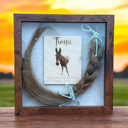 Custom 9x9 Horse Memorial Shadow Box – Personalized Keepsake Tribute