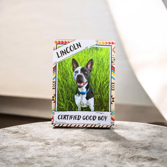 Custom Pet Trading Card – Personalized Keepsake for Your Fur Baby