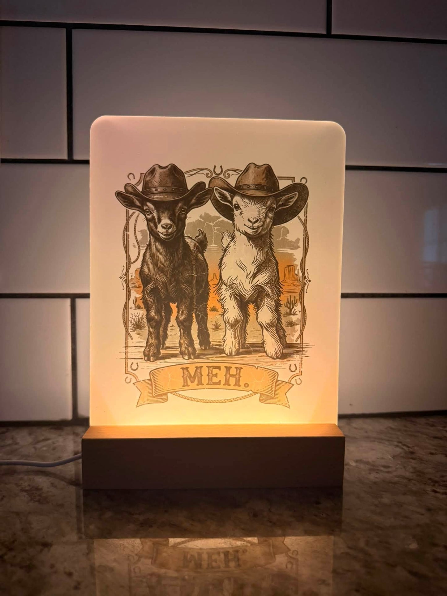 Custom 6x8 Acrylic LED Sign | Personalized Photo or Design Night Light