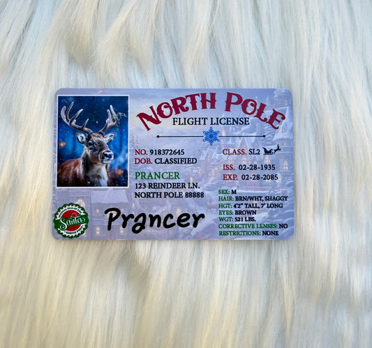 Prancer’s Flight License – A Magical Christmas Morning Surprise!