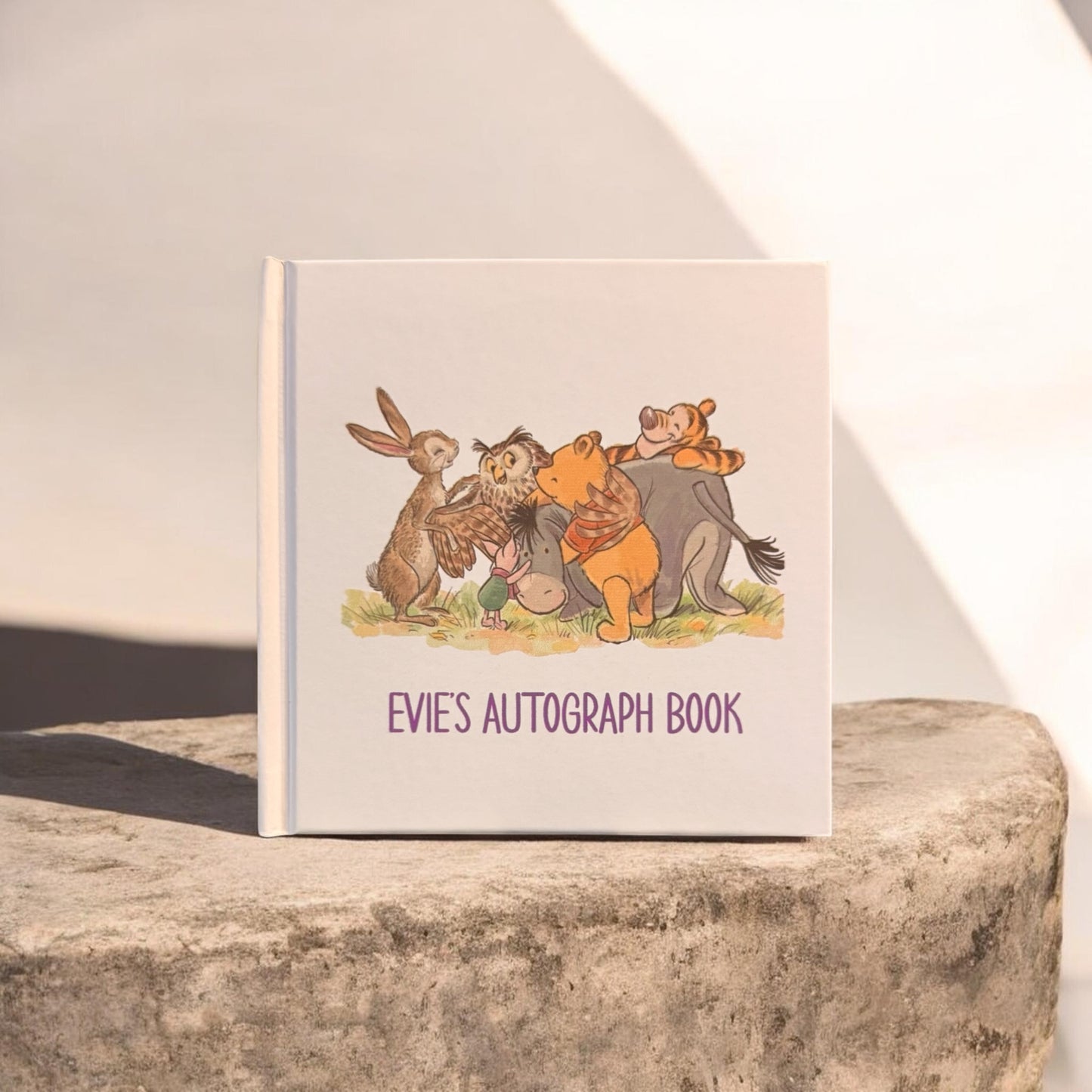 Vintage Winnie the Pooh Character Autograph Book