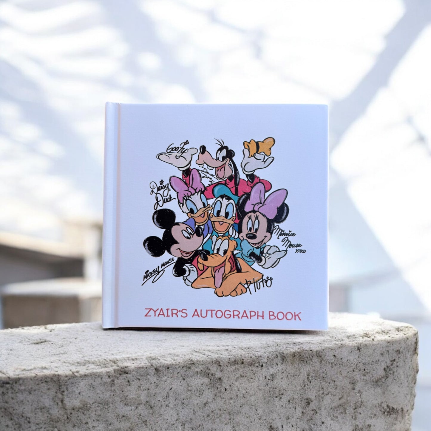 Custom Disney Autograph Book – Featuring the Sensational Six